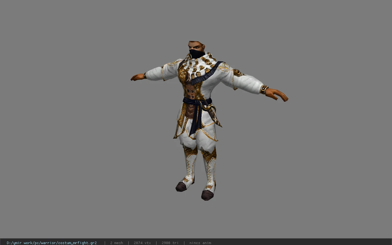 costum_mrfight