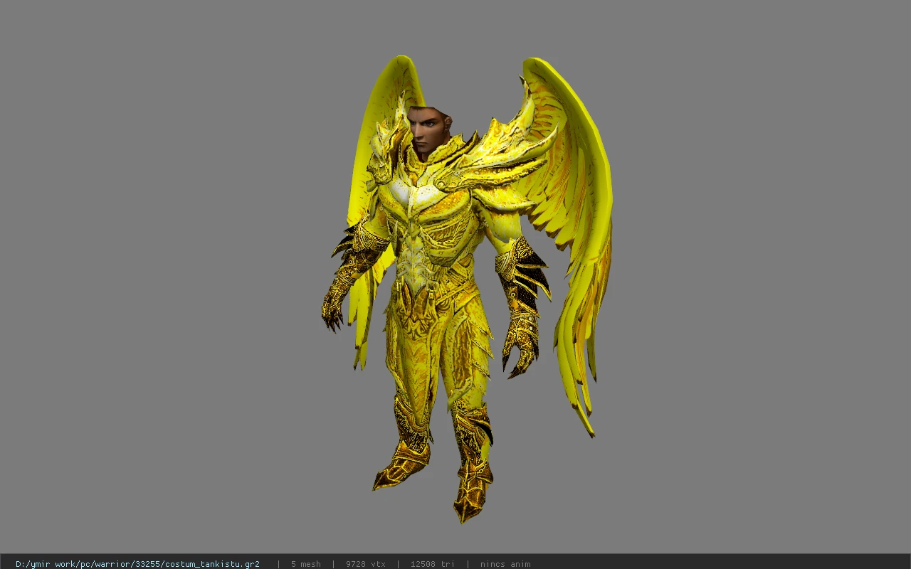 costum_tankistu