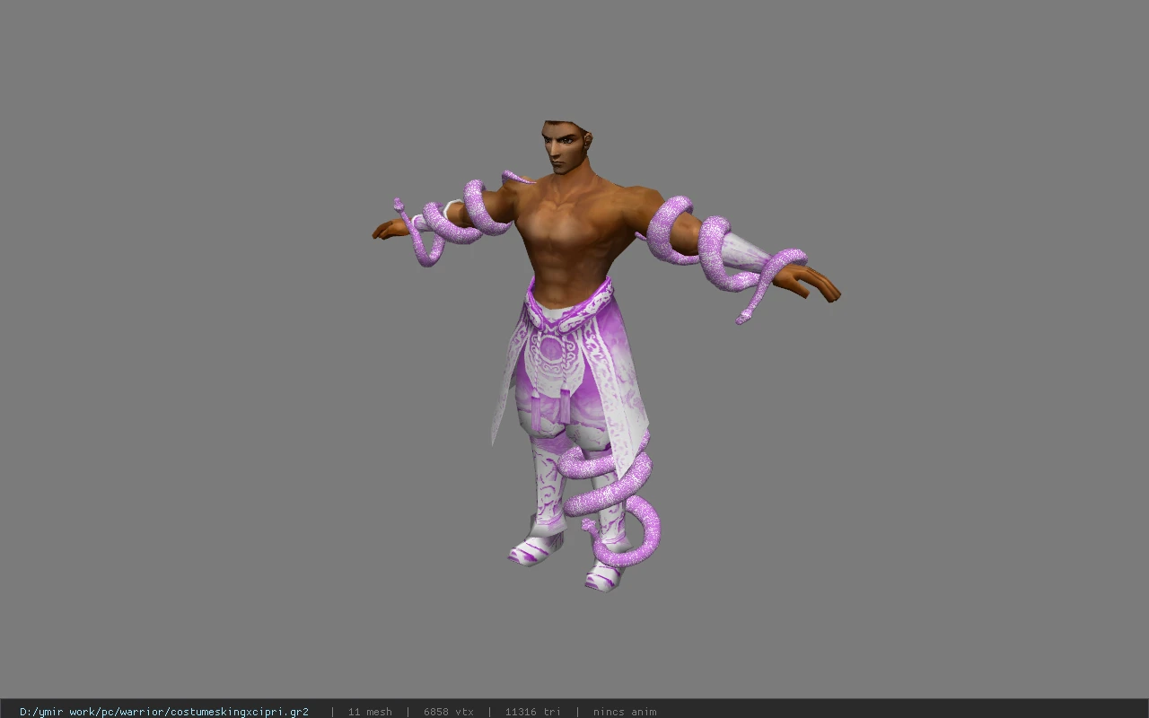 costumeskingxcipri