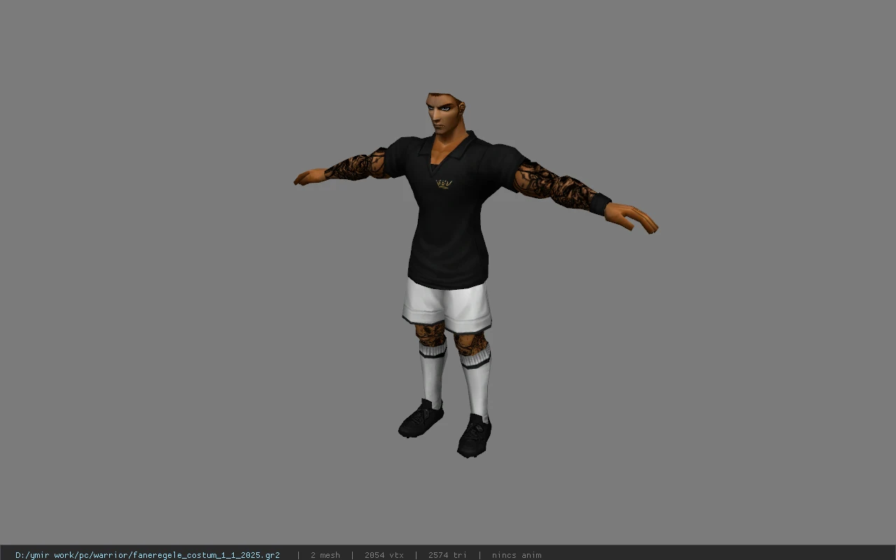 faneregele_costum_1_1_2025