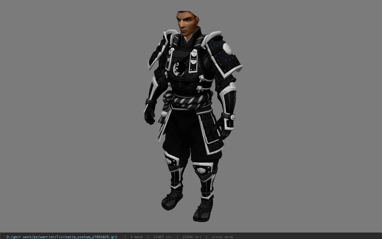 licitatie_costum_17052025