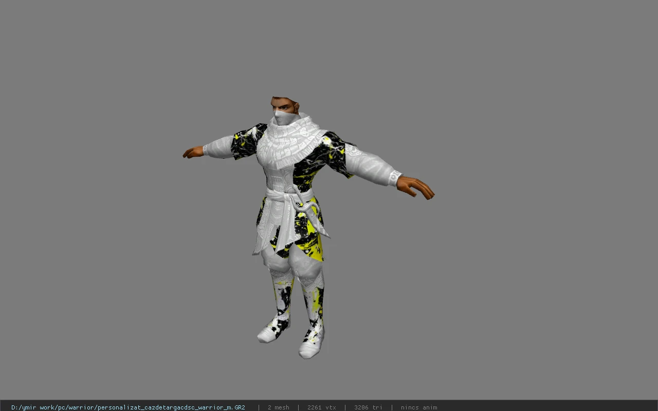 personalizat_cazdetargacdsc_warrior_m