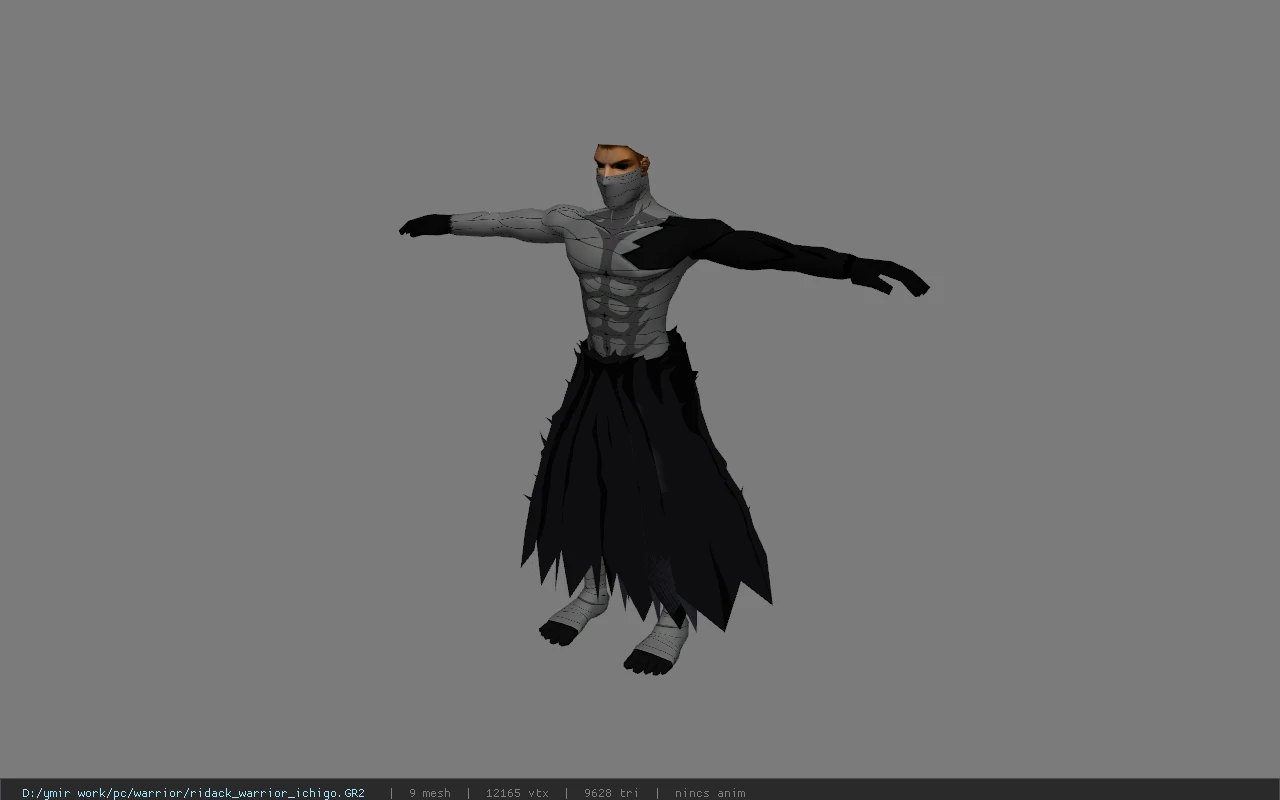 ridack_warrior_ichigo
