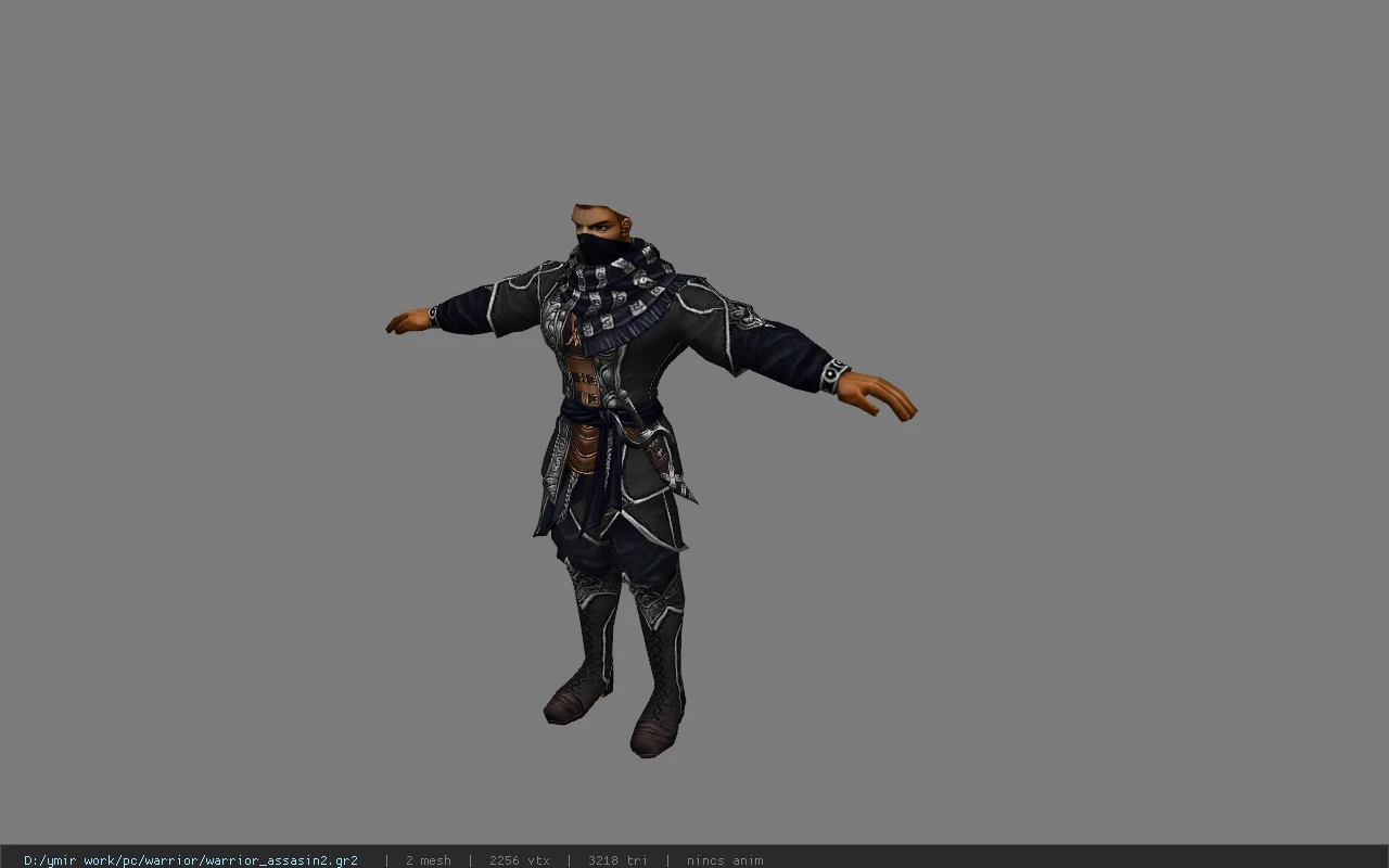 warrior_assasin2