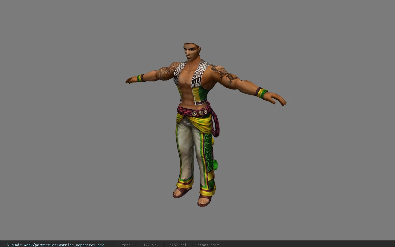 warrior_capoeira1