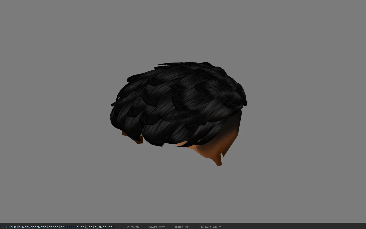 280226burdi_hair_swag
