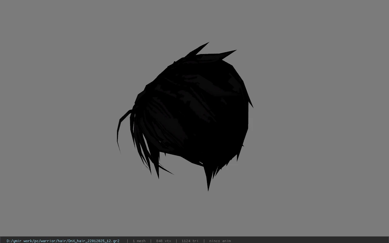 DnX_hair_22012025_12