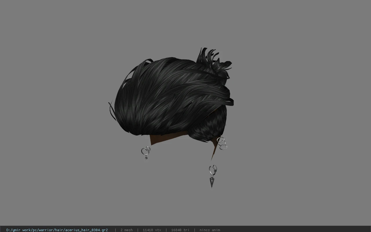 acerius_hair_0304