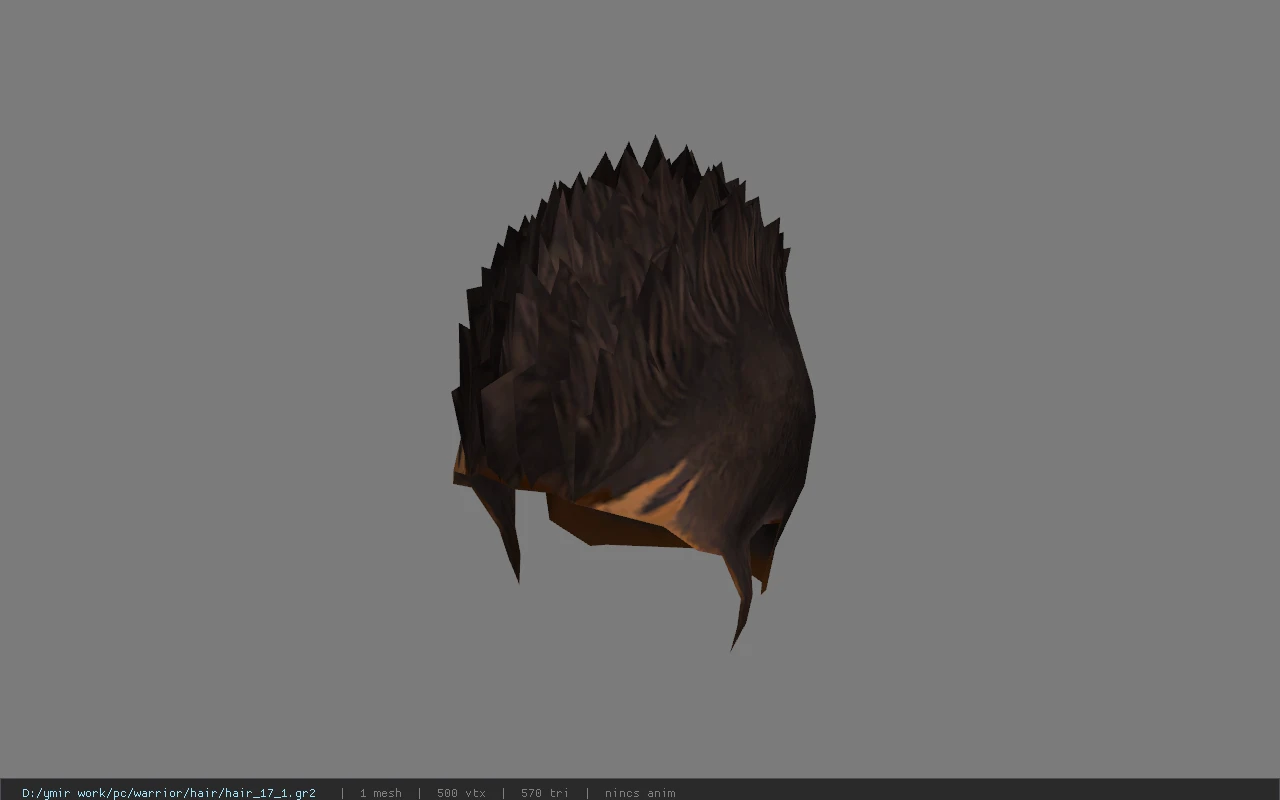 hair_17_1