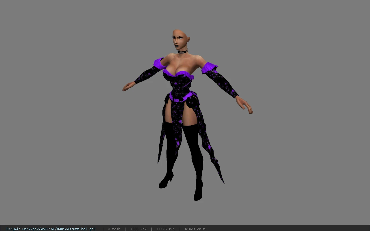 0401costummihai