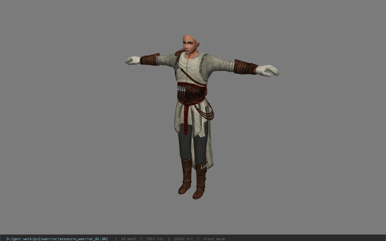 assassin_warrior_01