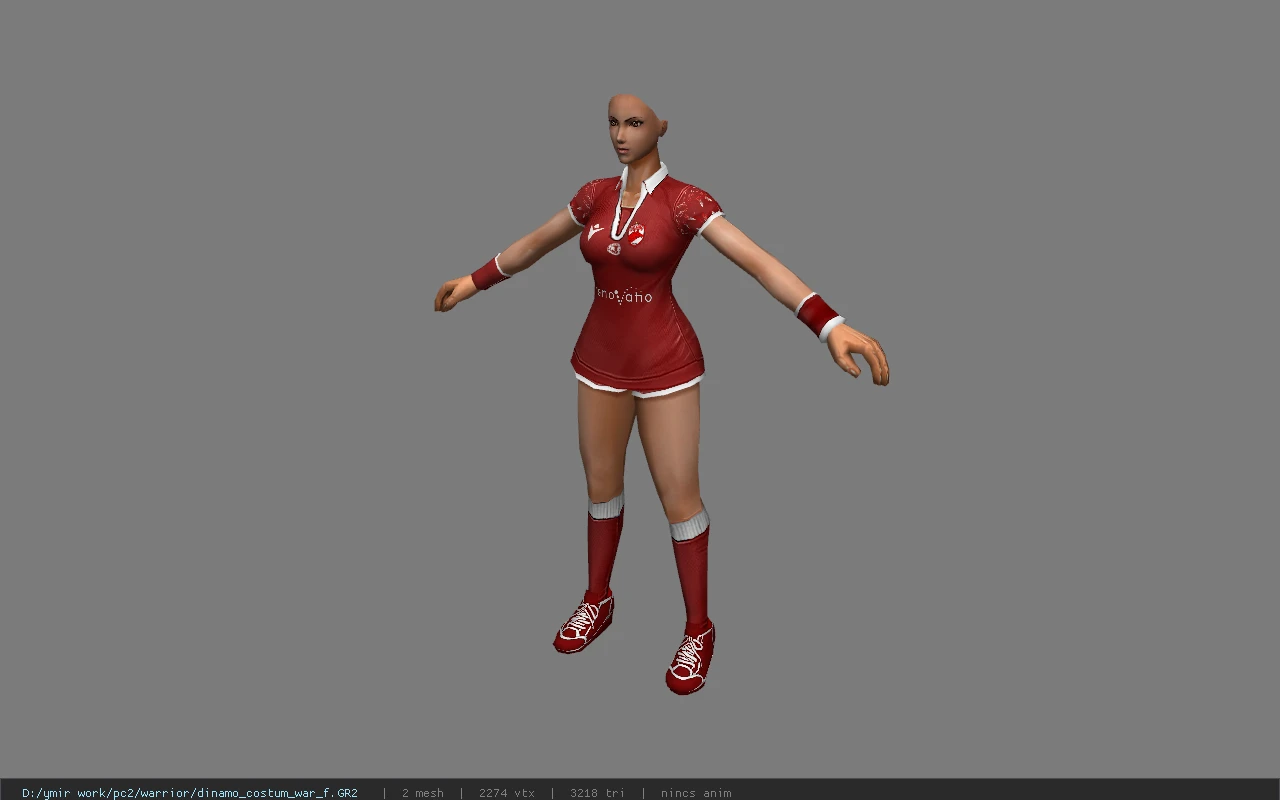 dinamo_costum_war_f