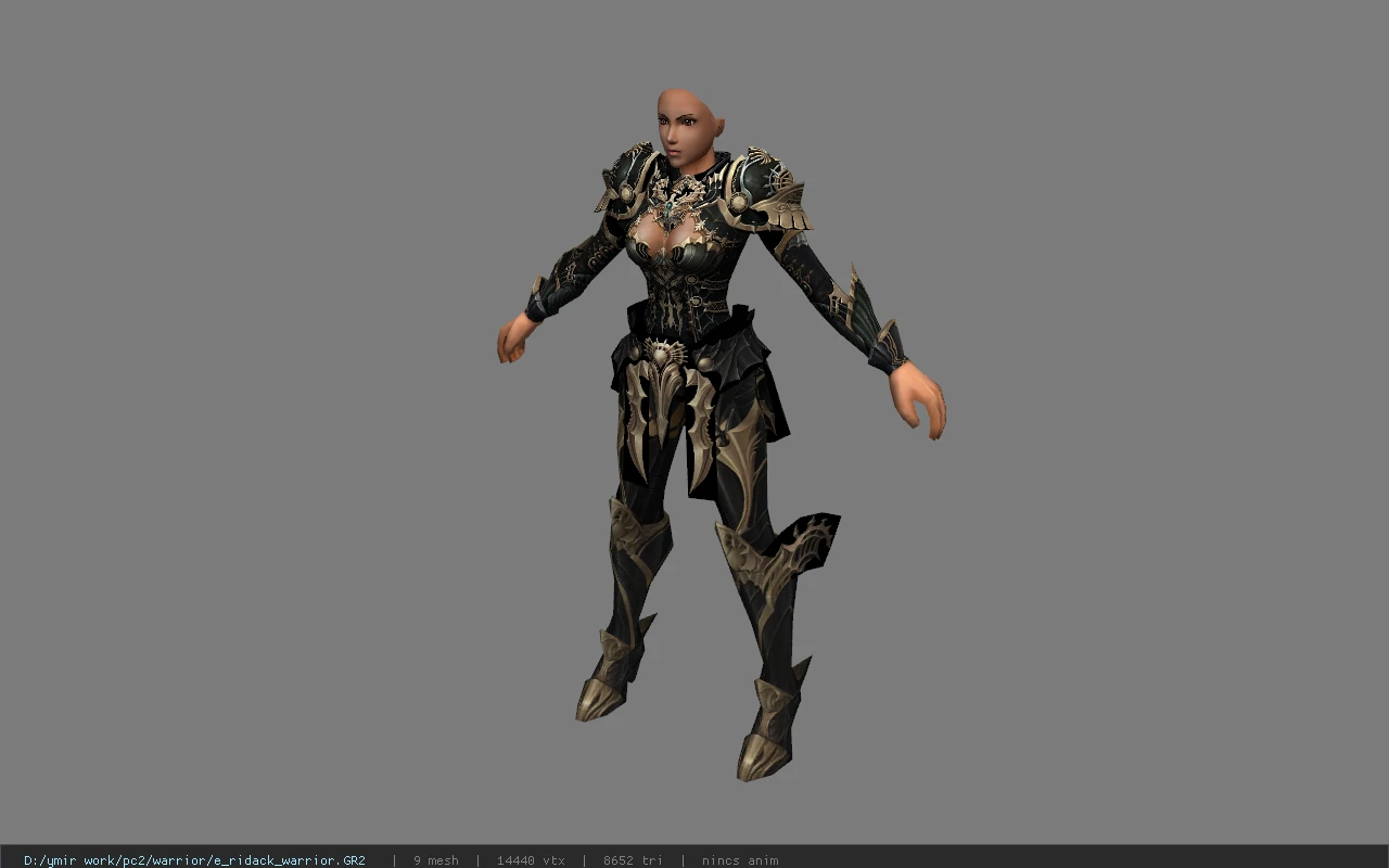e_ridack_warrior