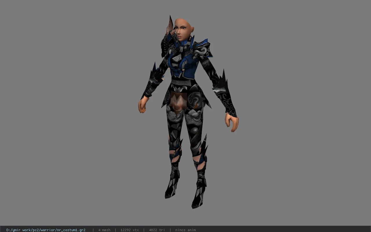 nr_costum1