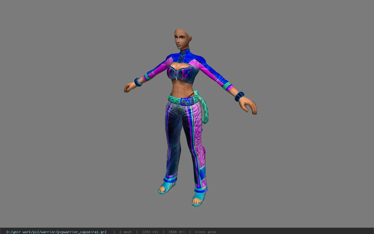 pvpwarrior_capoeira1