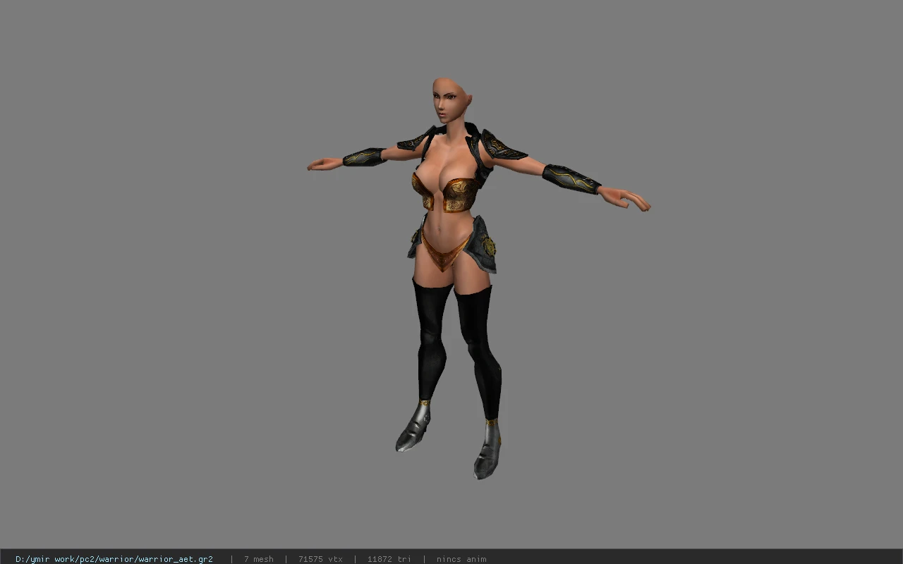 warrior_aet