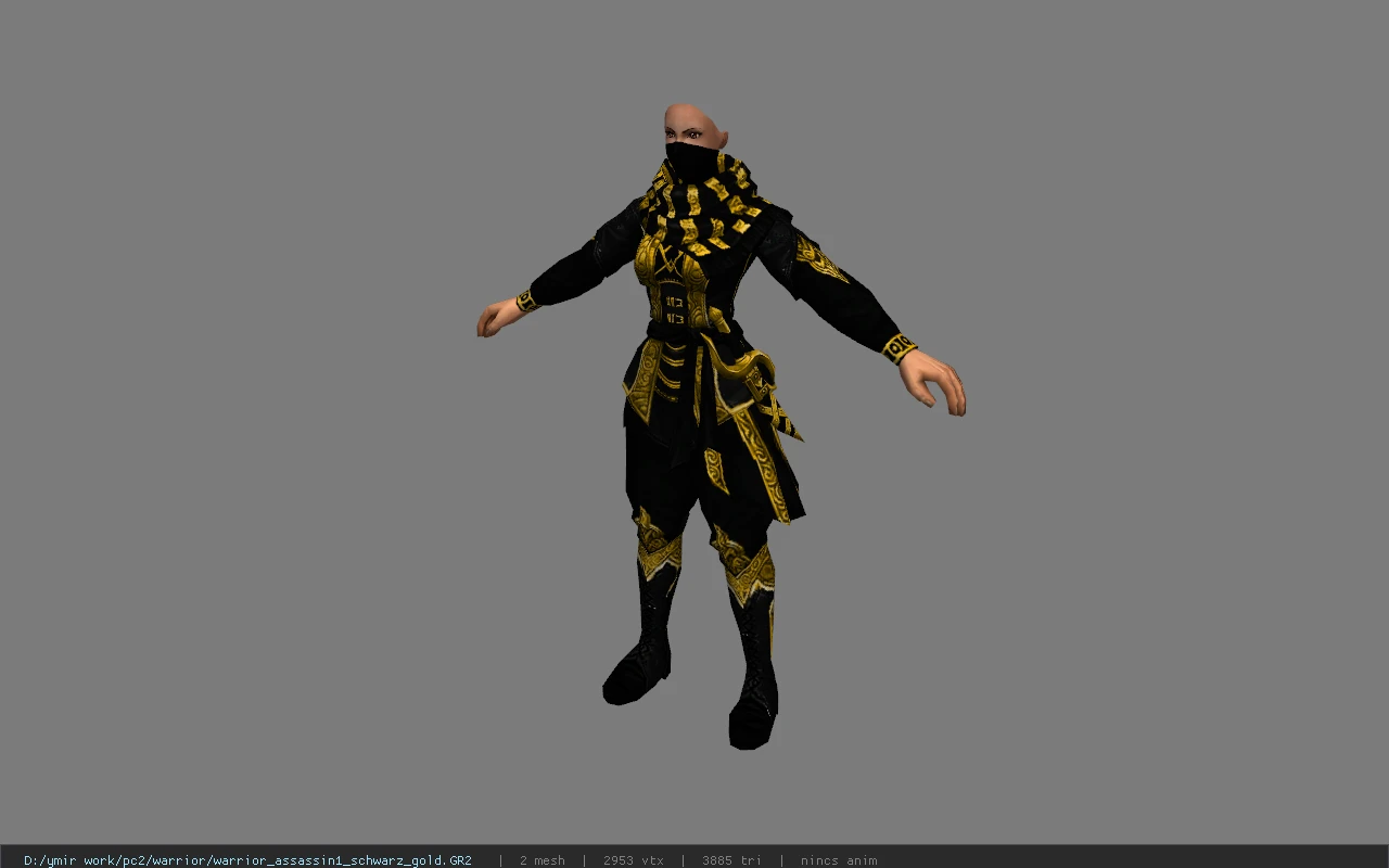 warrior_assassin1_schwarz_gold