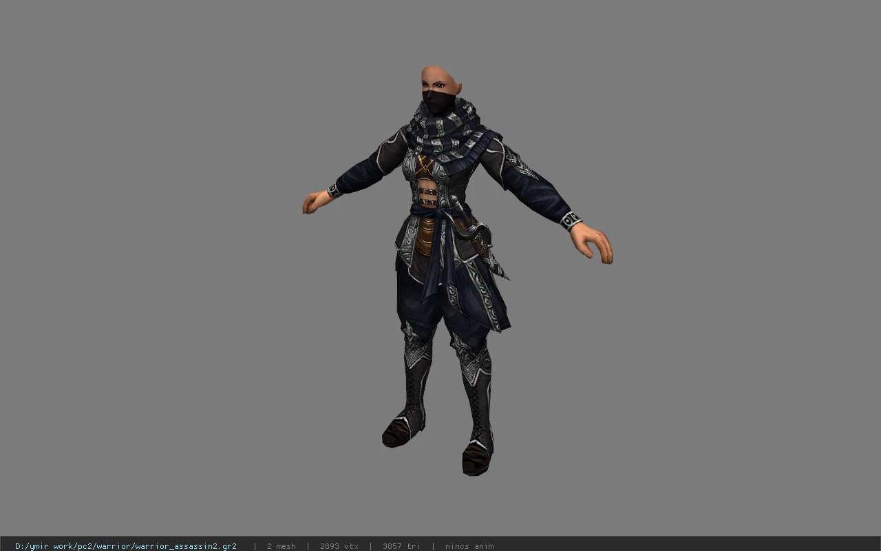 warrior_assassin2