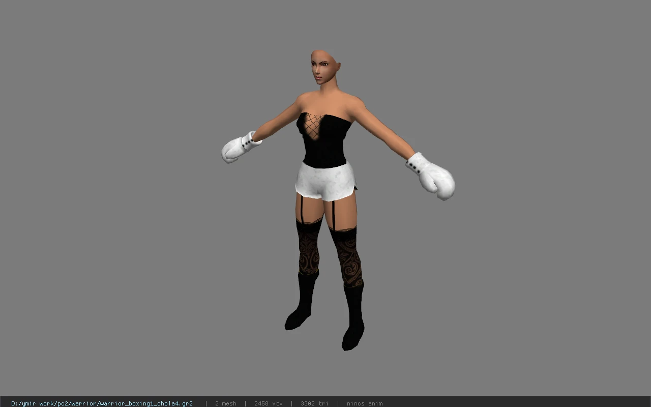 warrior_boxing1_chola4
