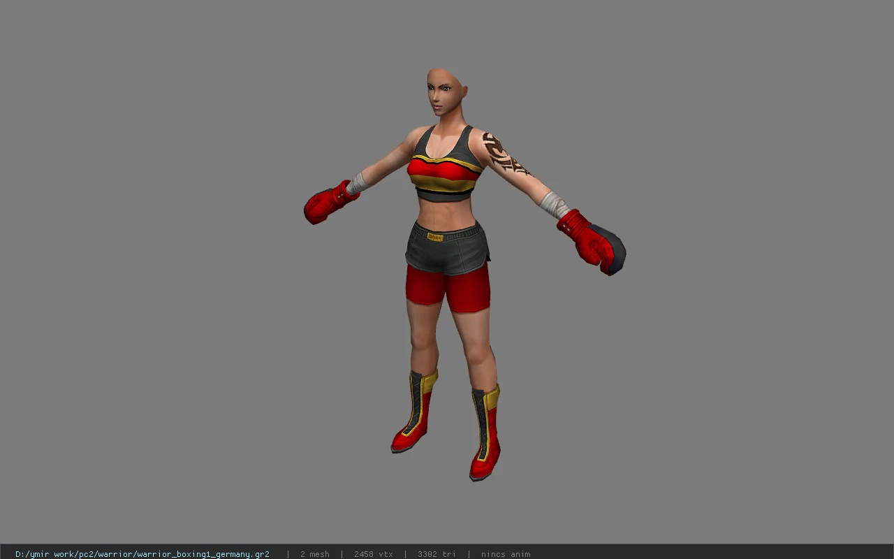 warrior_boxing1_germany