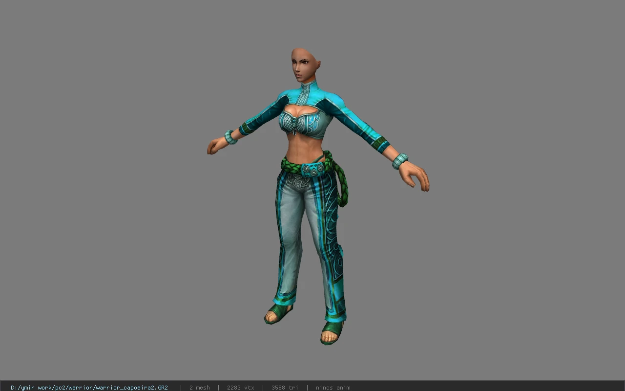 warrior_capoeira2