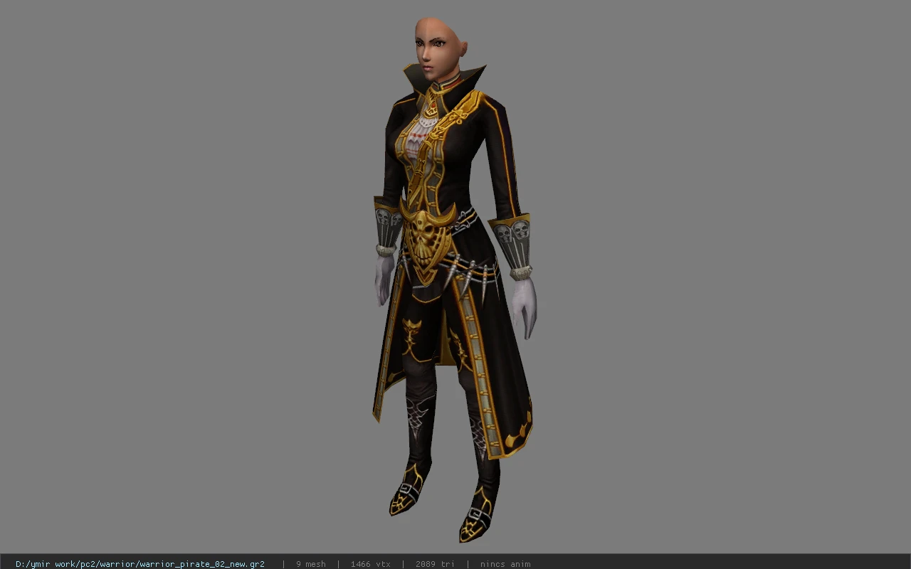 warrior_pirate_02_new