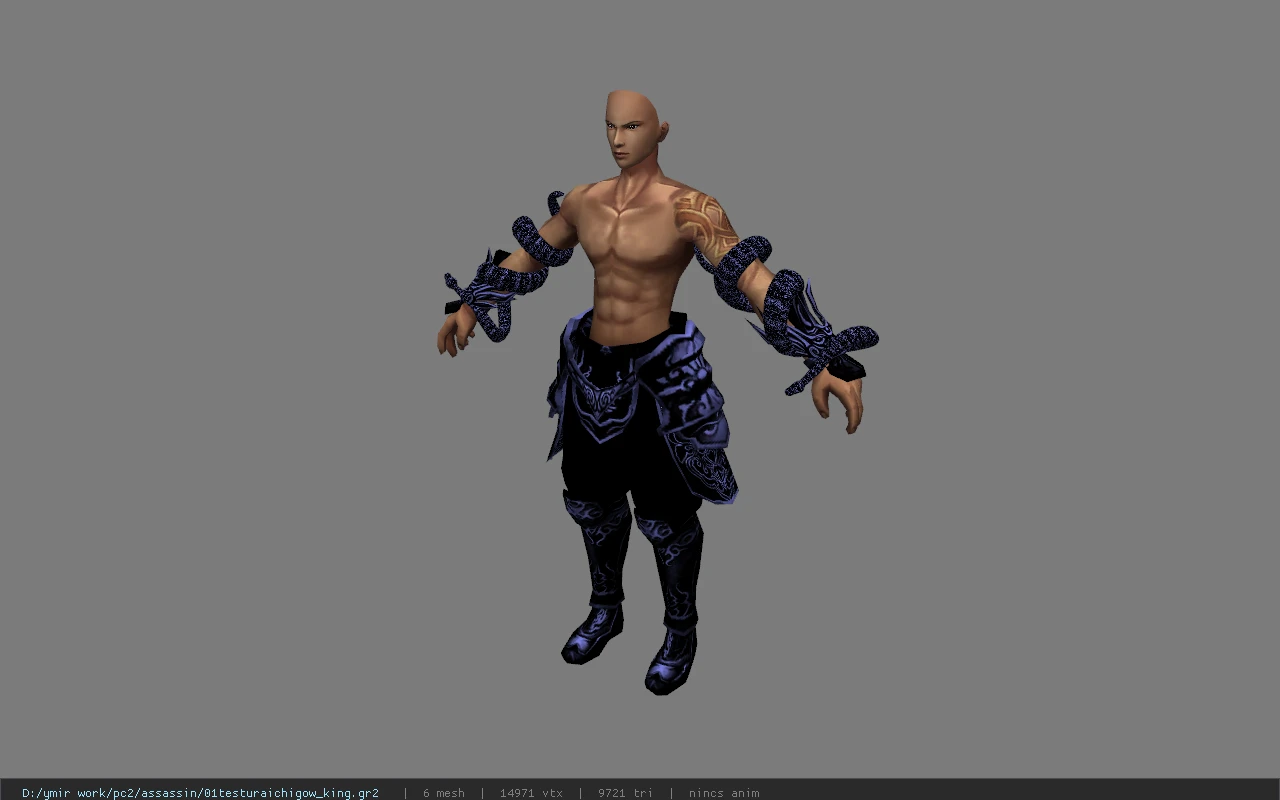 01testuraichigow_king