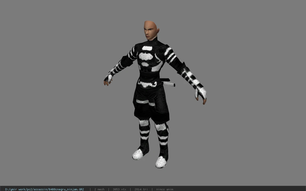 0408cnegru_ninjam