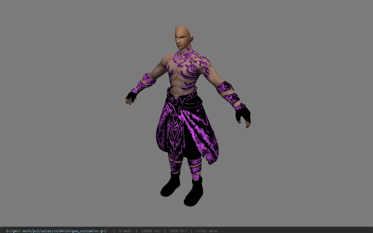 04ichigow_costumlvn