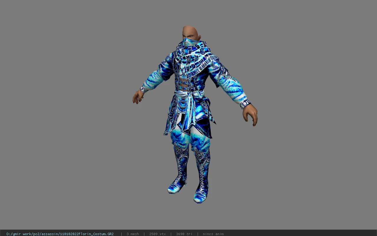 110102022Florin_Costum