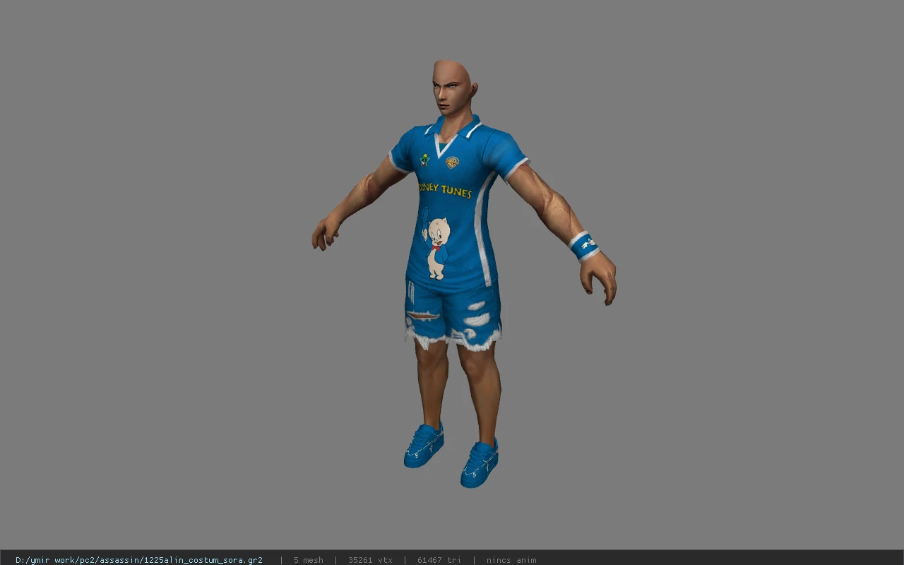 1225alin_costum_sora