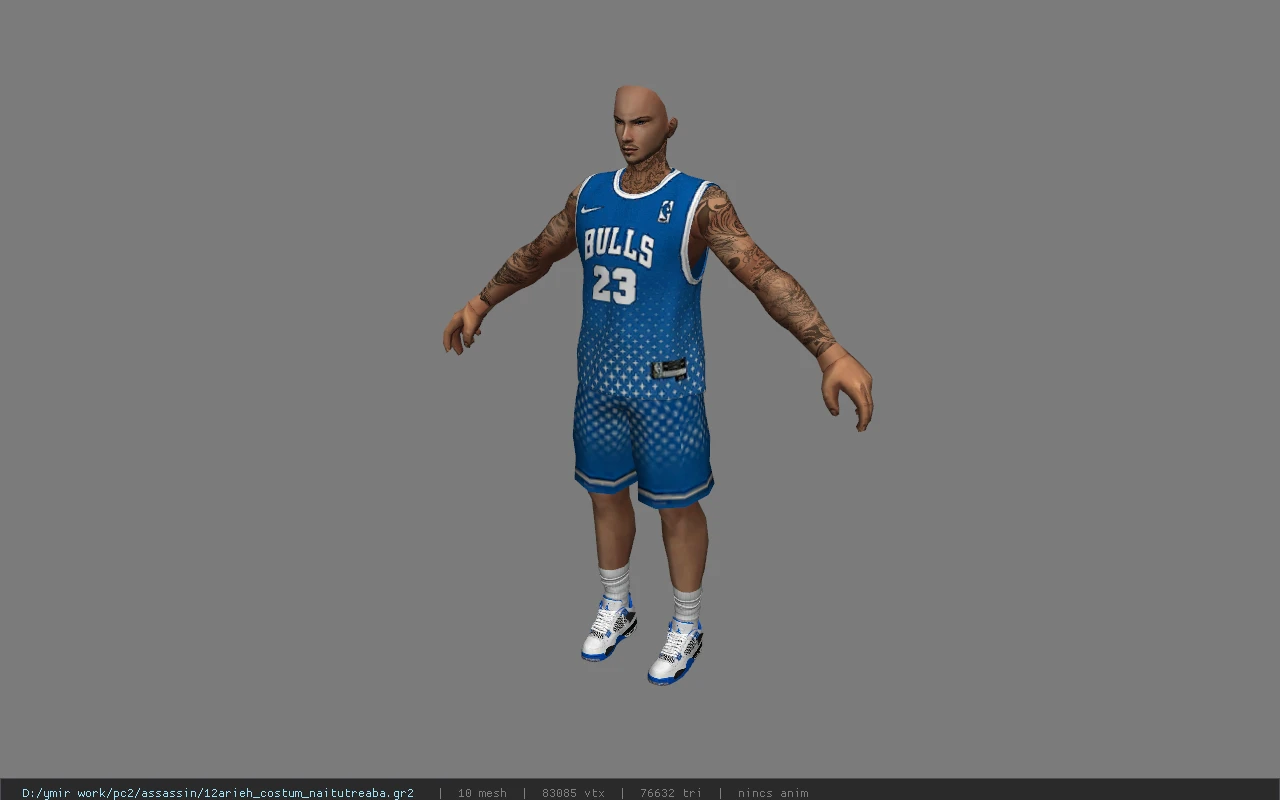 12arieh_costum_naitutreaba