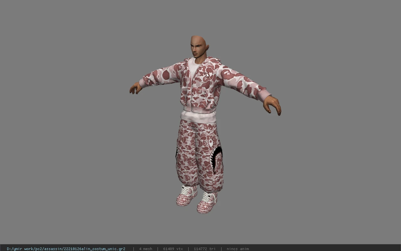 22210126alin_costum_unic