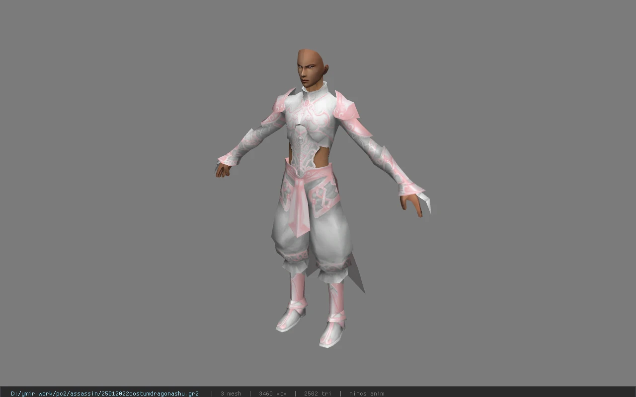 25012022costumdragonashu