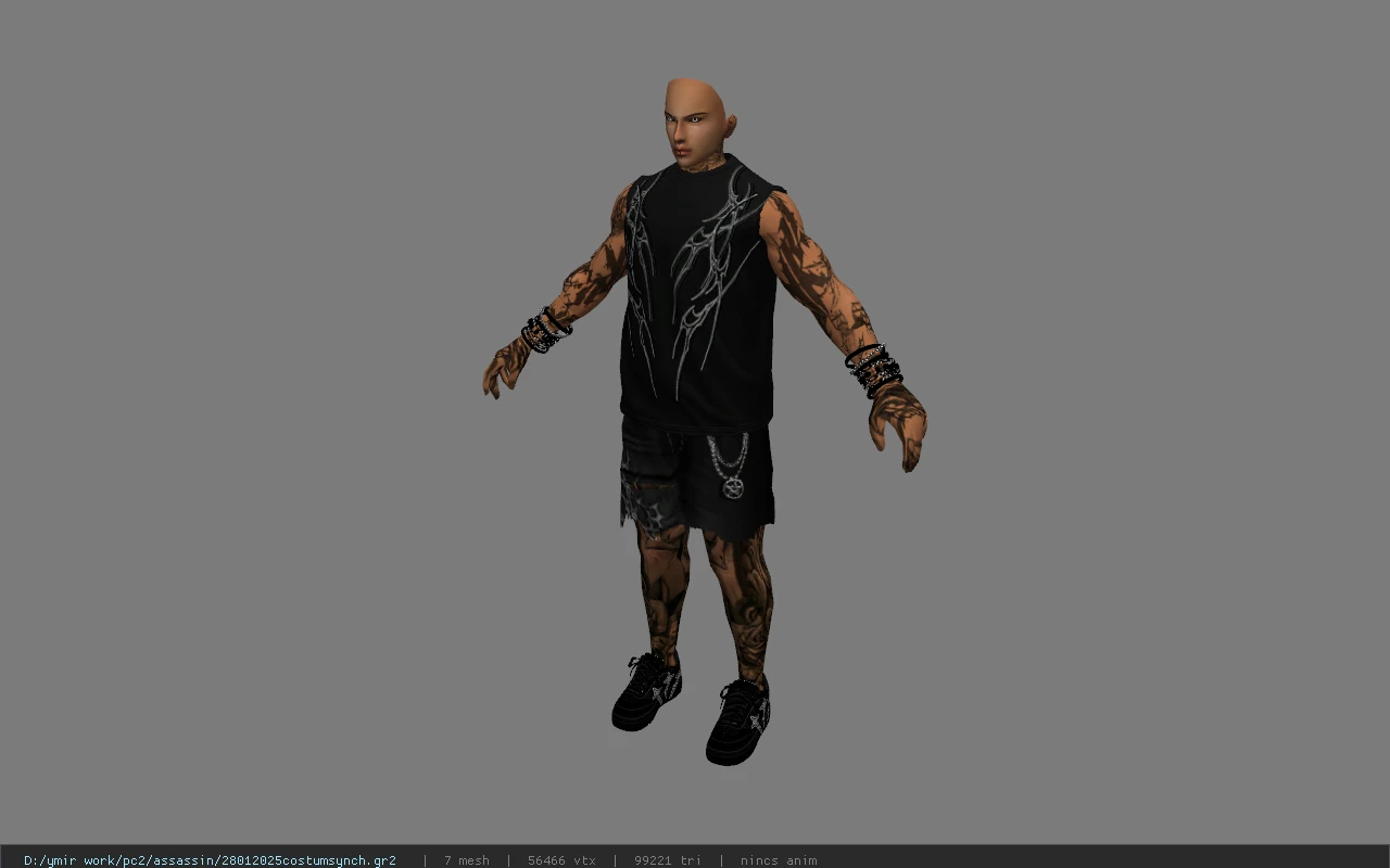 28012025costumsynch