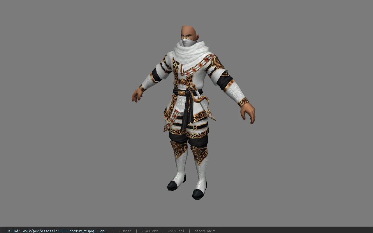 29095costum_miyagii