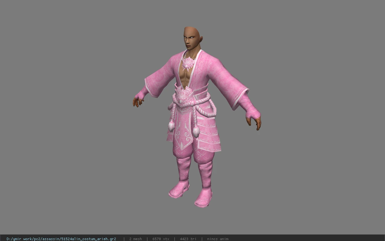51524alin_costum_arieh