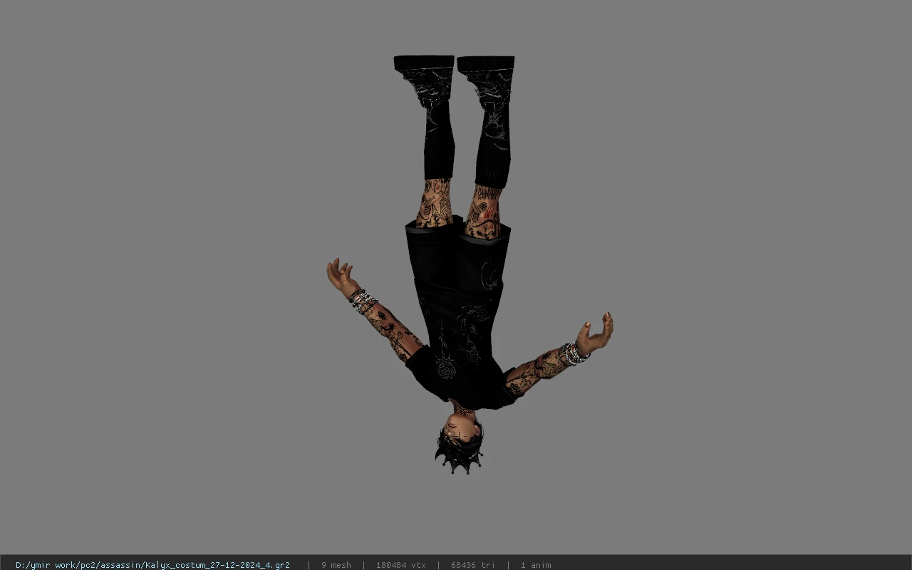 Kalyx_costum_27-12-2024_4