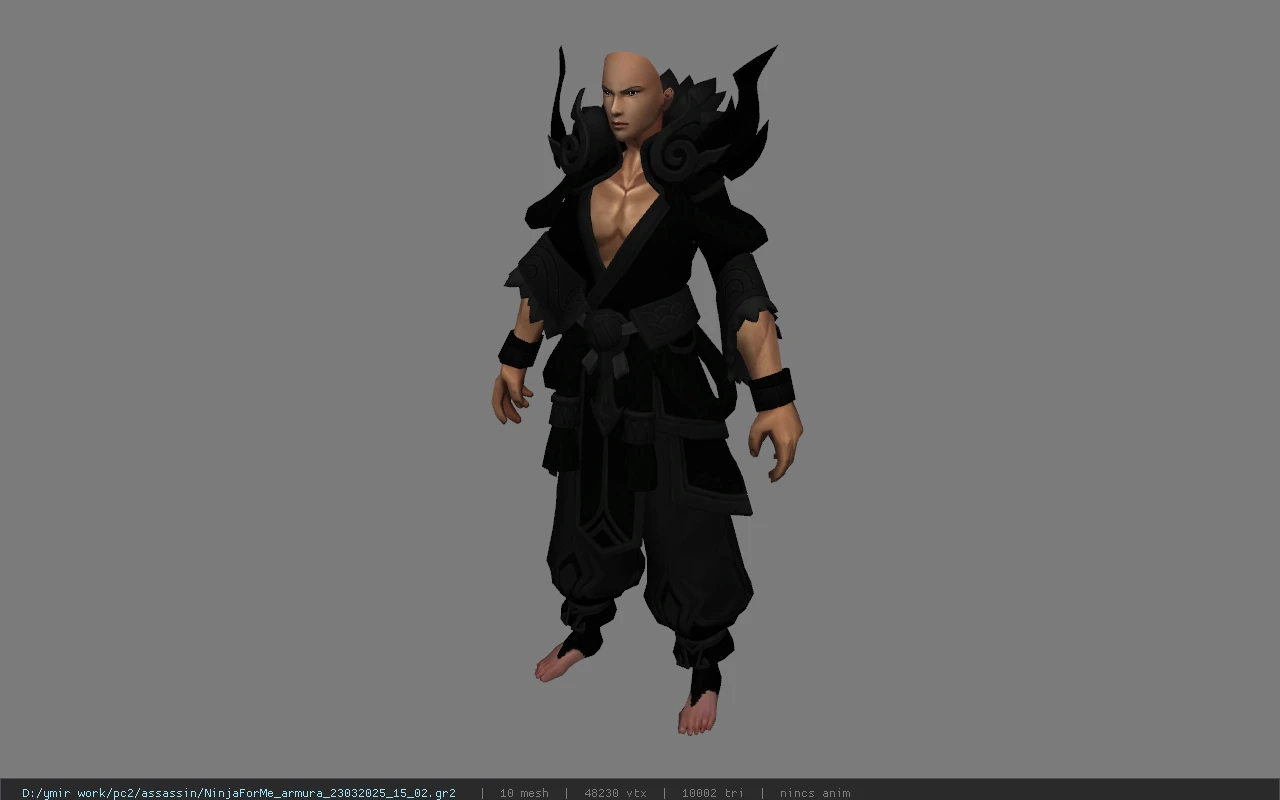 NinjaForMe_armura_23032025_15_02
