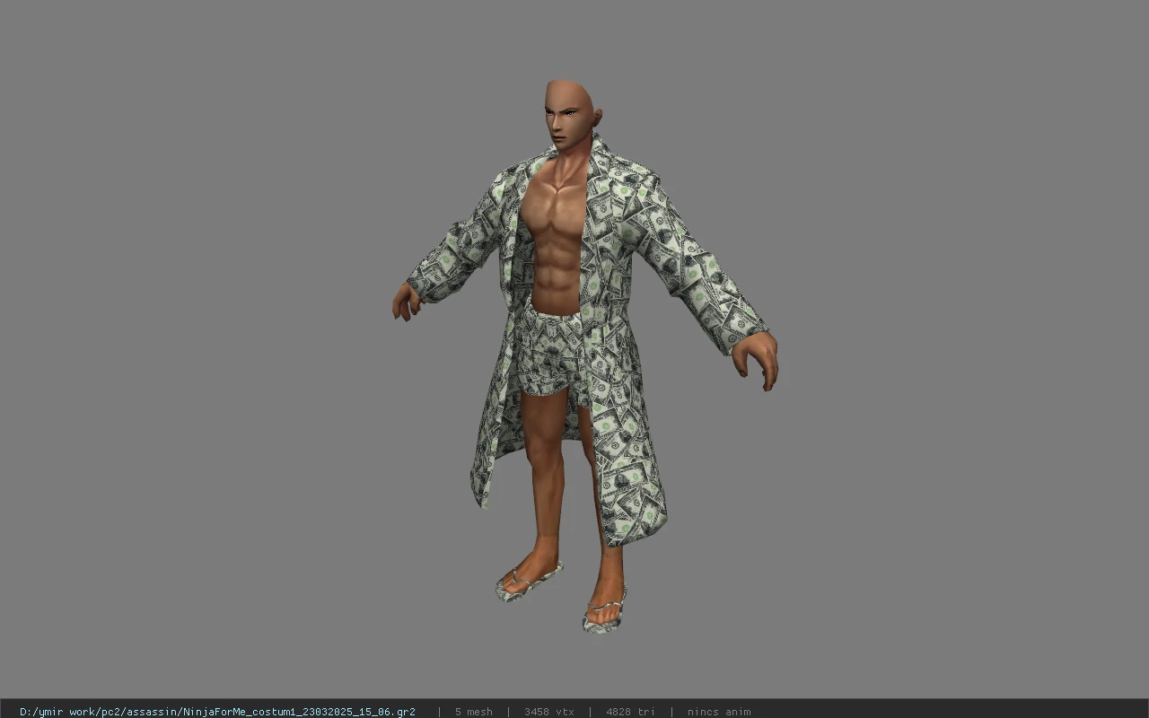 NinjaForMe_costum1_23032025_15_06