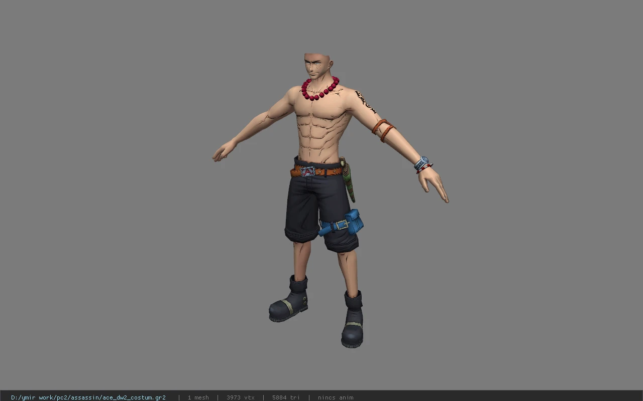 ace_dw2_costum