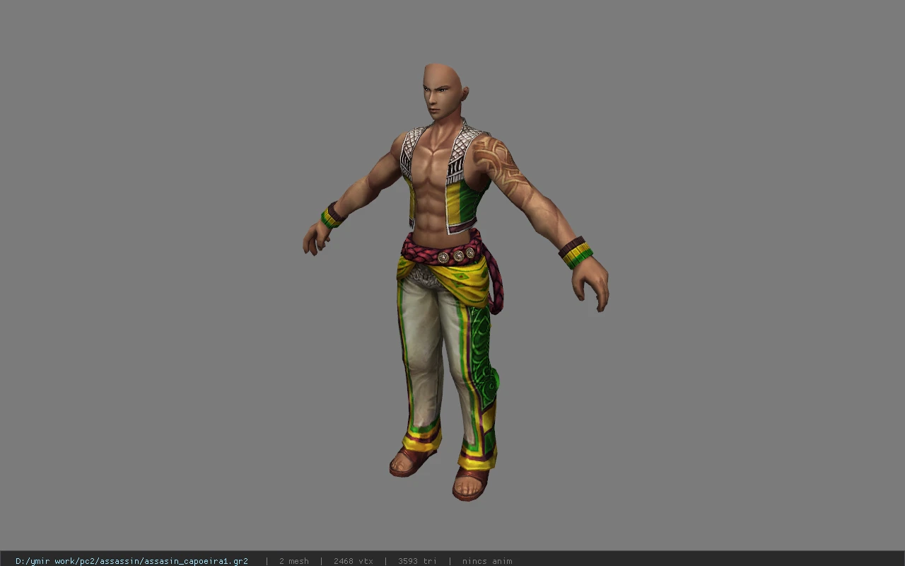 assasin_capoeira1
