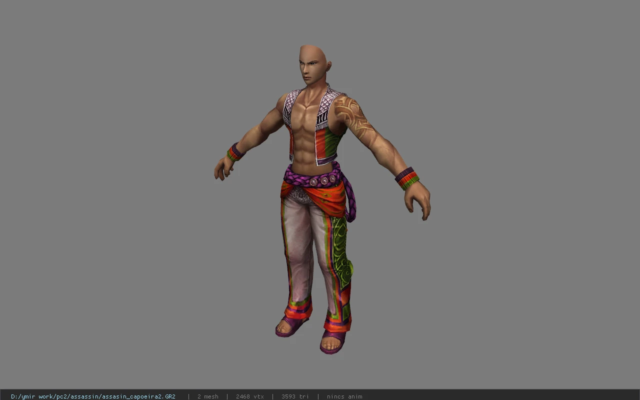assasin_capoeira2