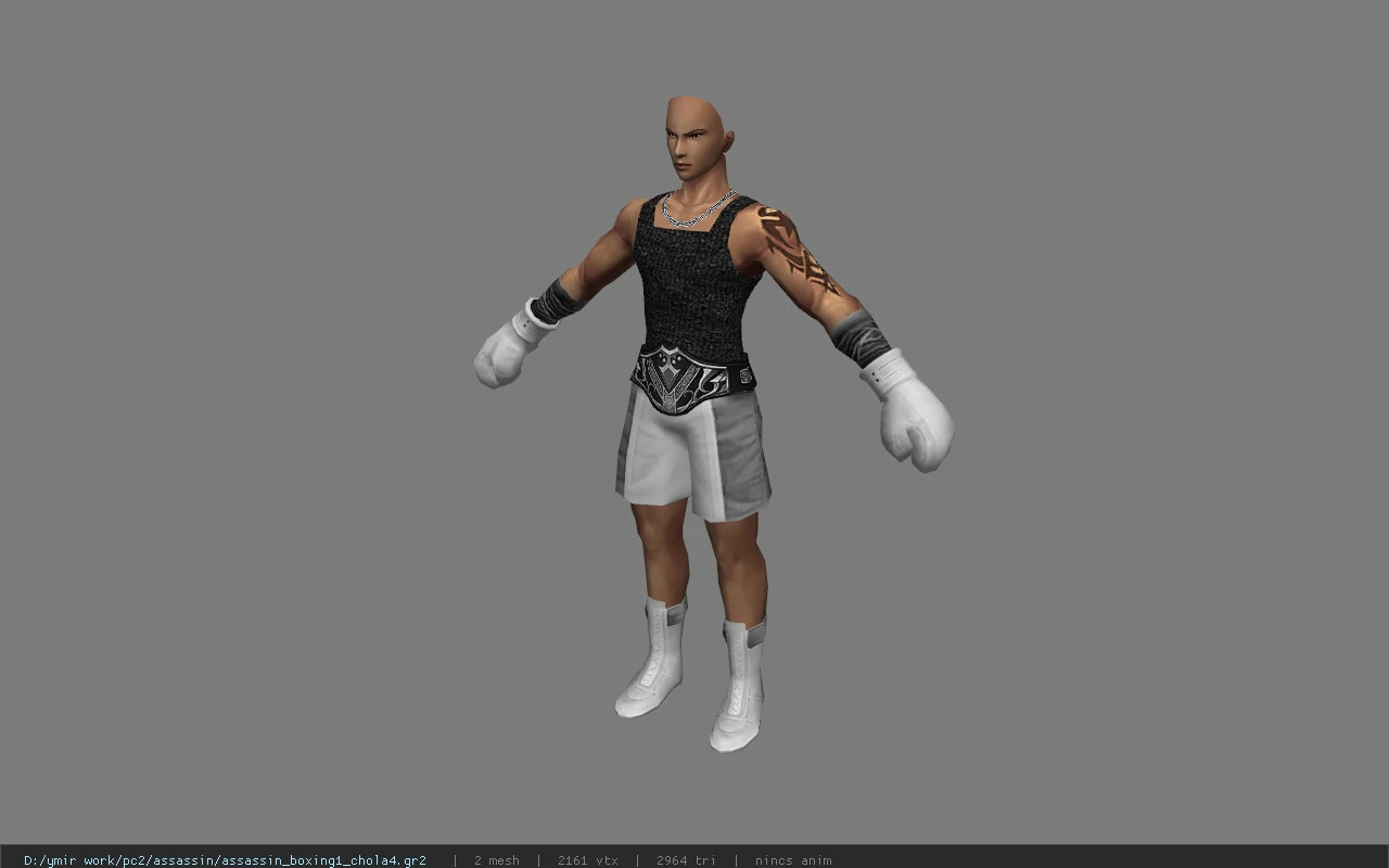 assassin_boxing1_chola4