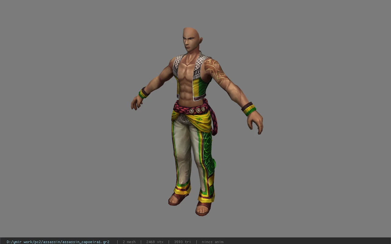 assassin_capoeira1