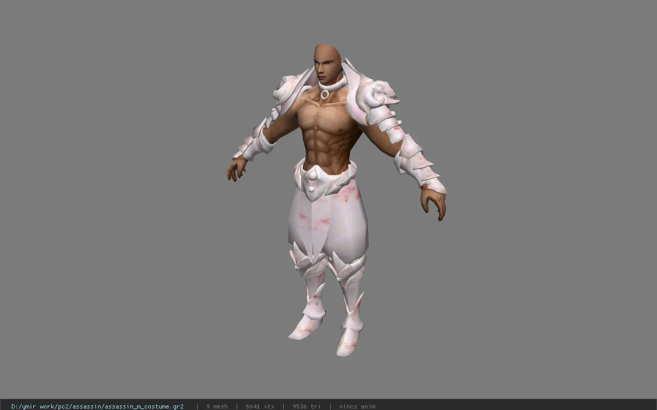 assassin_m_costume