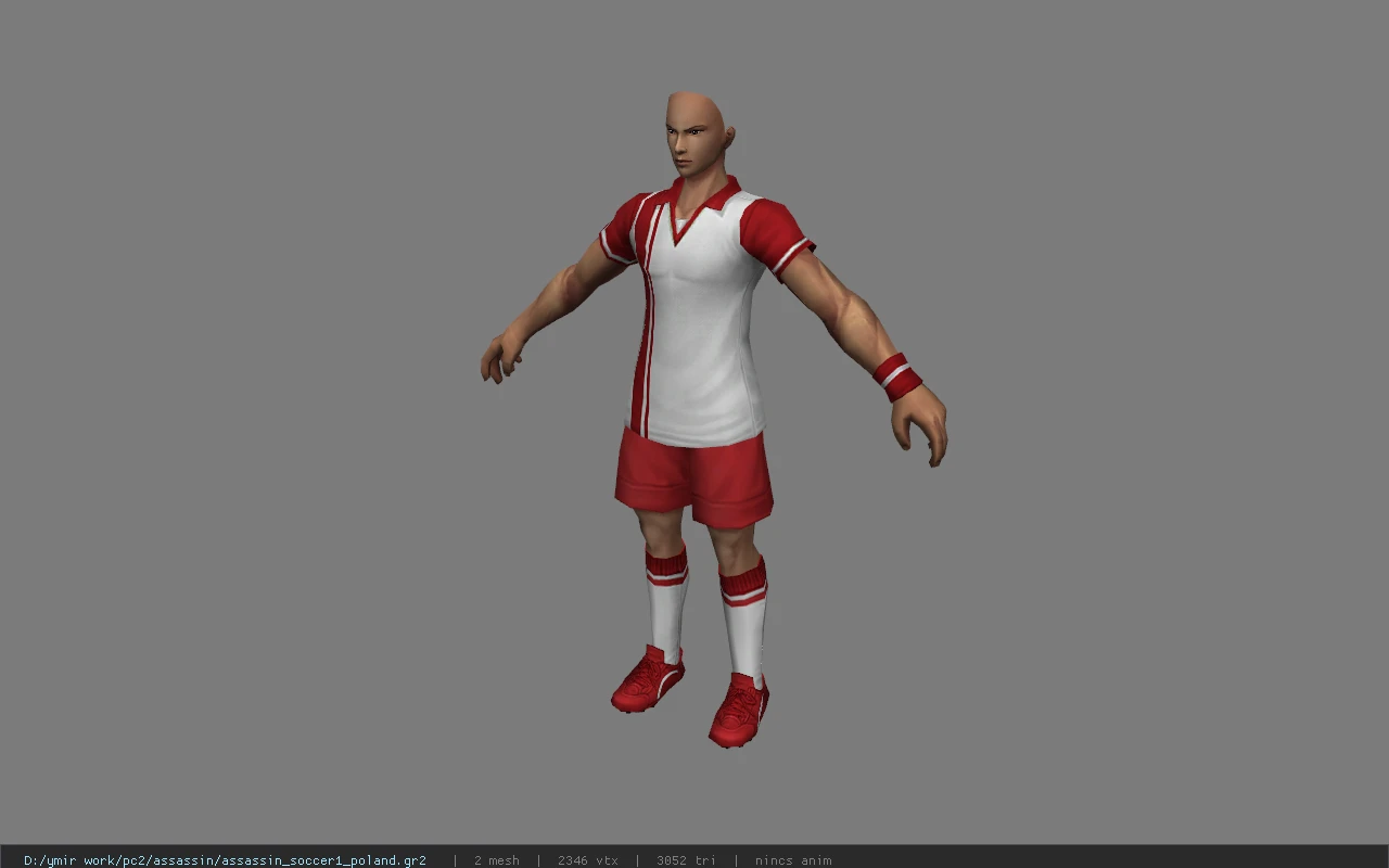 assassin_soccer1_poland
