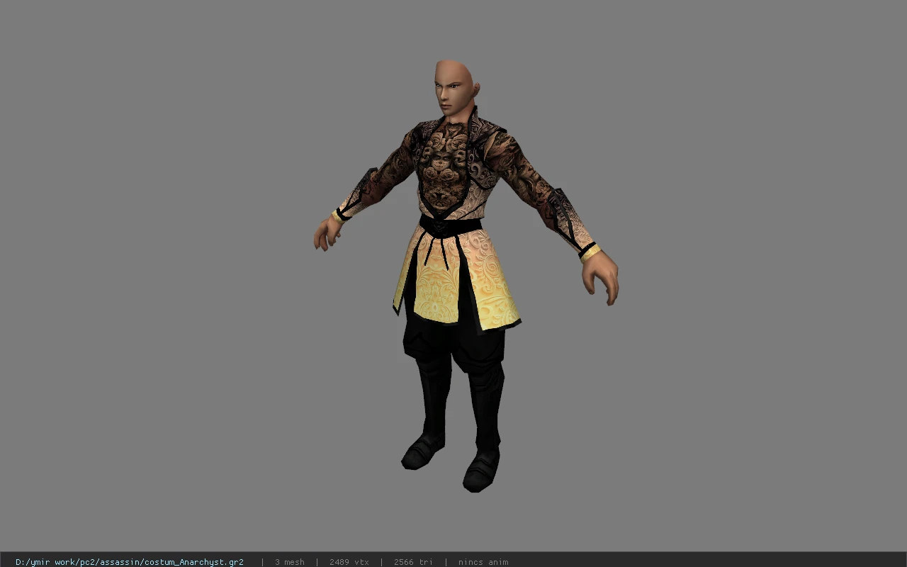 costum_Anarchyst