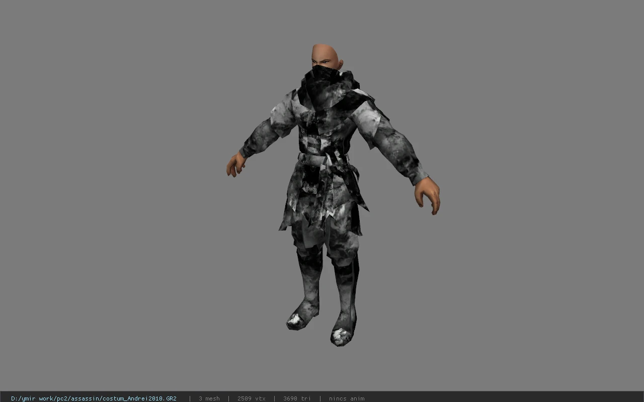 costum_Andrei2010