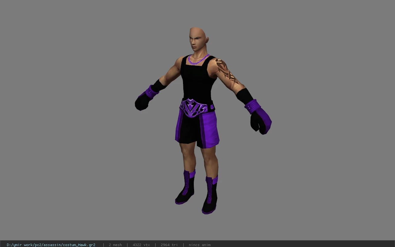 costum_Hawk